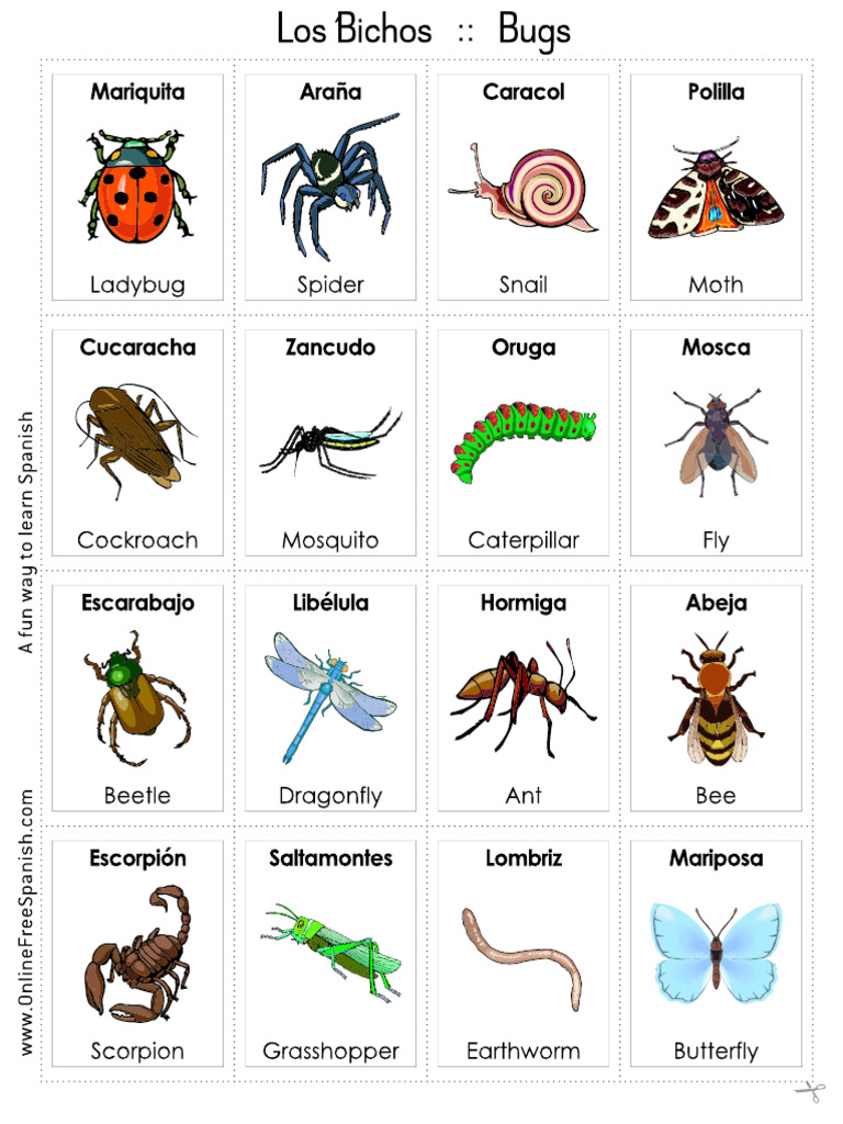 BugsLosinsectosBingoBilingeBilingualbingo-1 | PDF