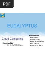 Eucalyptus Presentation (Cloud Computing)