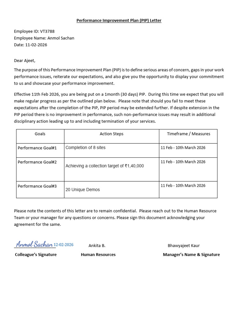 PIP Document_Anmol (1) | PDF
