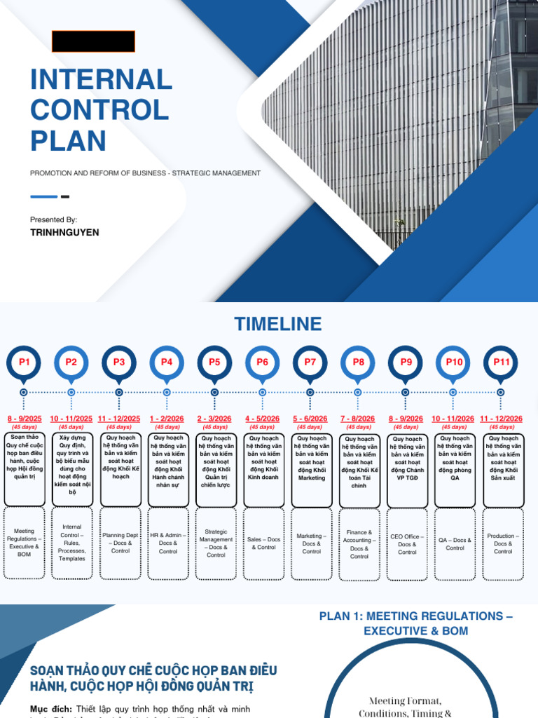 Internal Control Plan | PDF