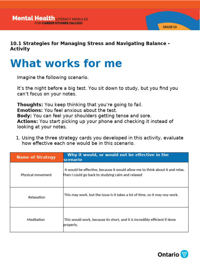 10.1 Activity What Works for Me Online Module | PDF