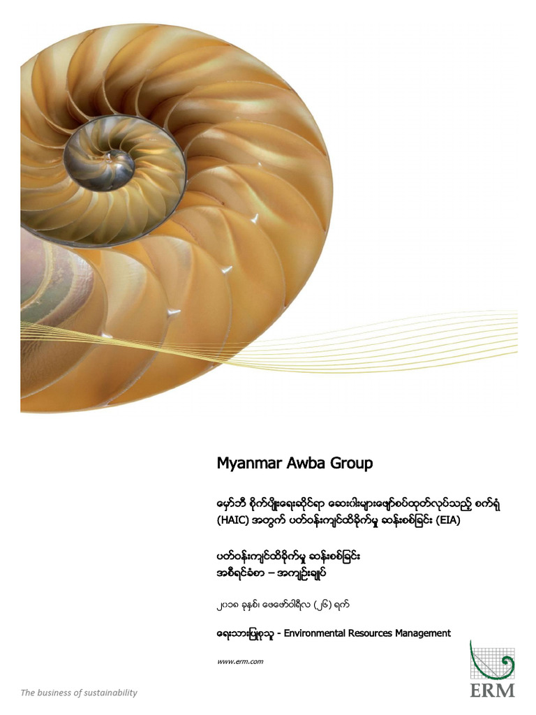 AWBA Exectuive Summary Burmese17892 | PDF