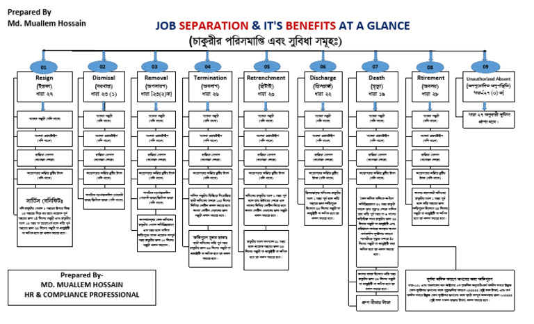 Job Separation Flow Chart-Revised | PDF