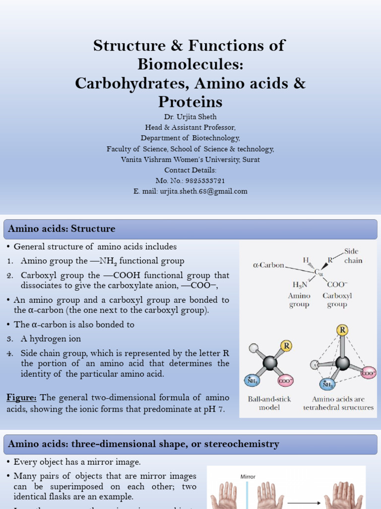 Dr. Urjita Sheth_Amino acids & Proteins | PDF | Amino Acid | Beta Sheet