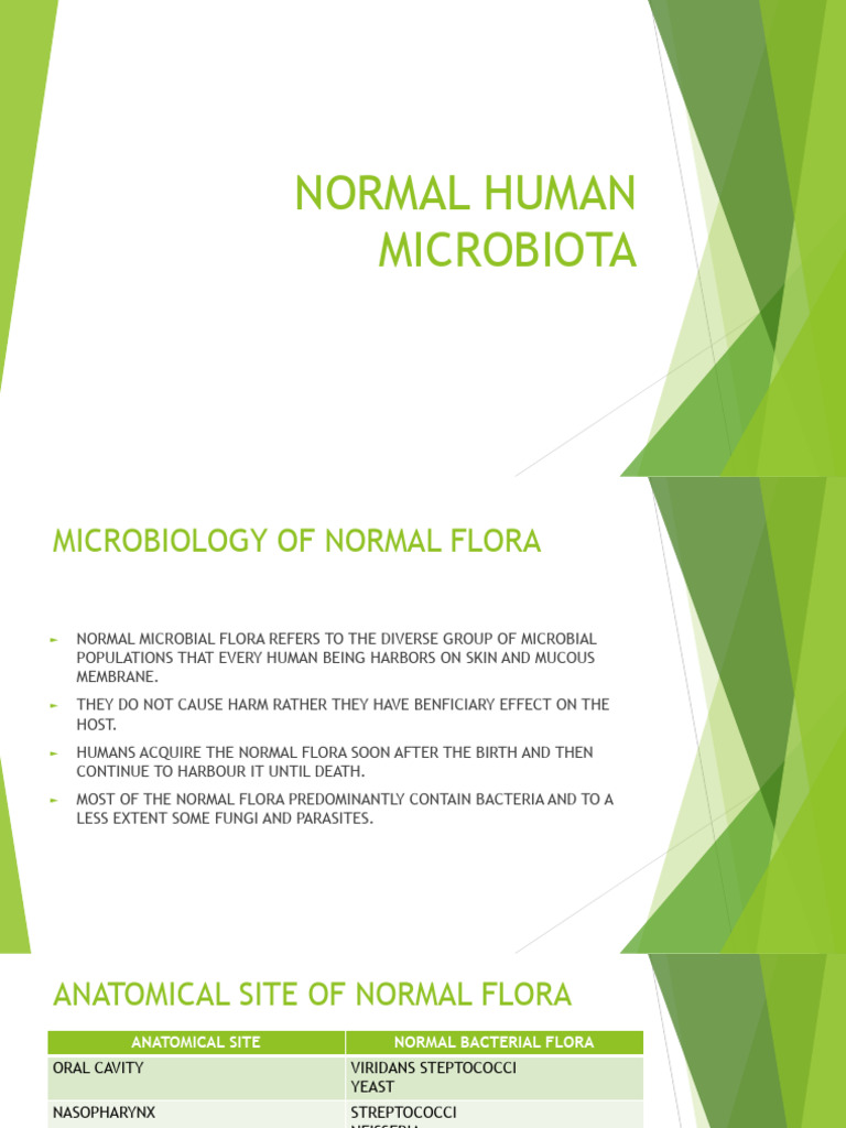 Normal Human Microbiota | PDF | Probiotic | Lactobacillus