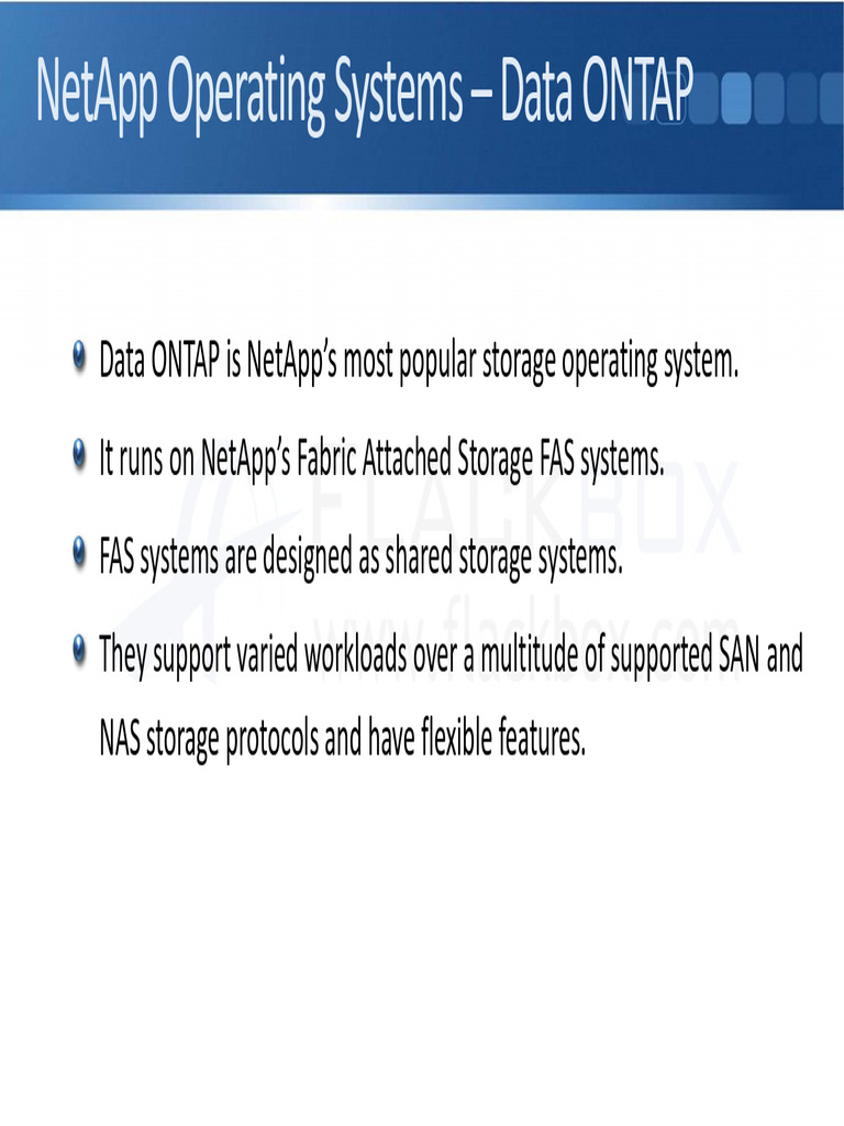 01 02 NetApp Operating Systems | PDF