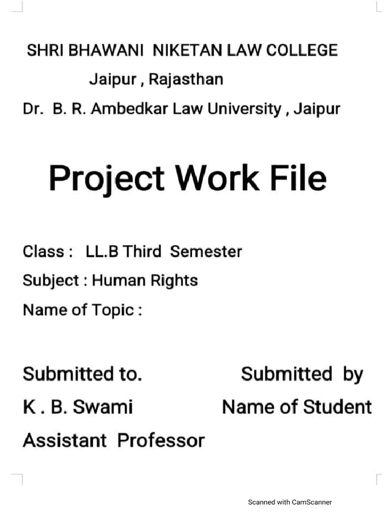Human Rights Project File | PDF