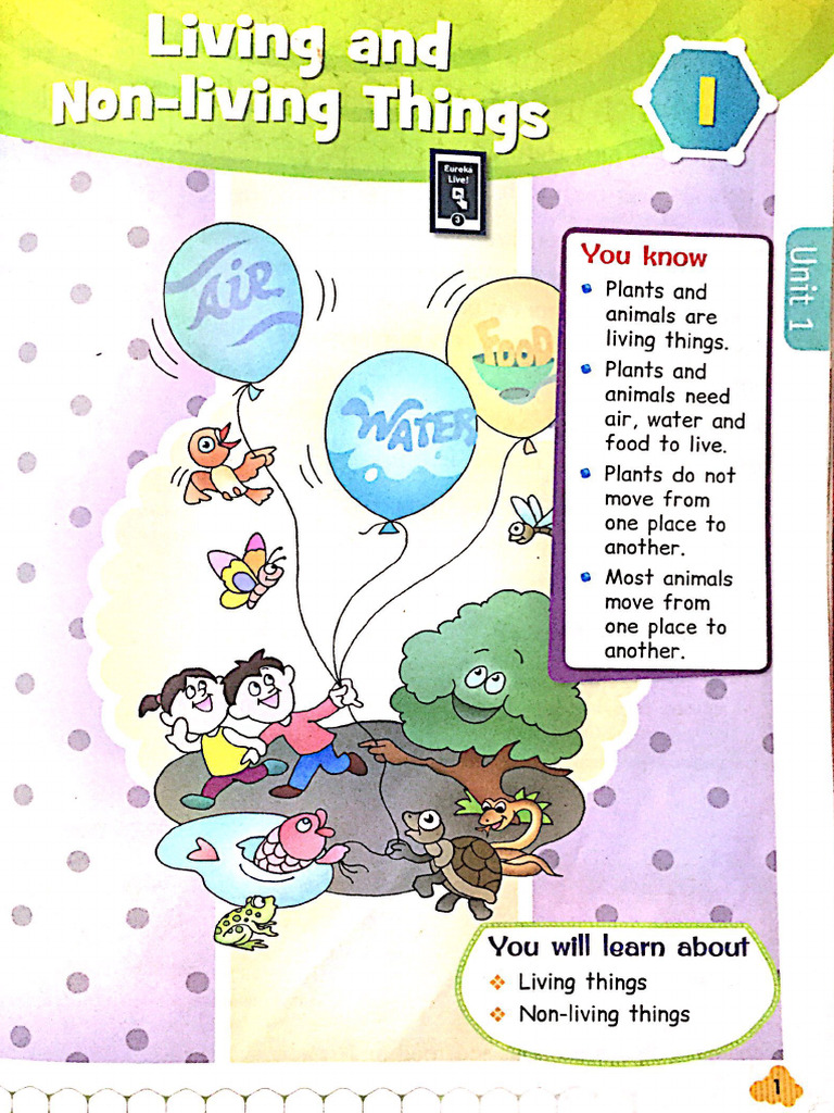 Science Class 3 | PDF