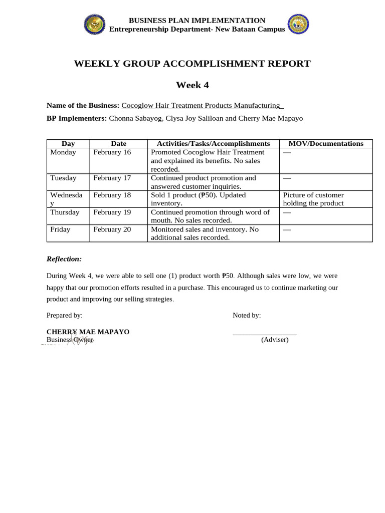 Week 4 - Accomplishment Report | PDF
