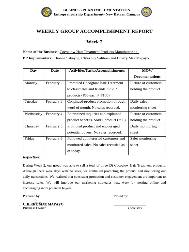 Week 2 - Accomplishment Report | PDF