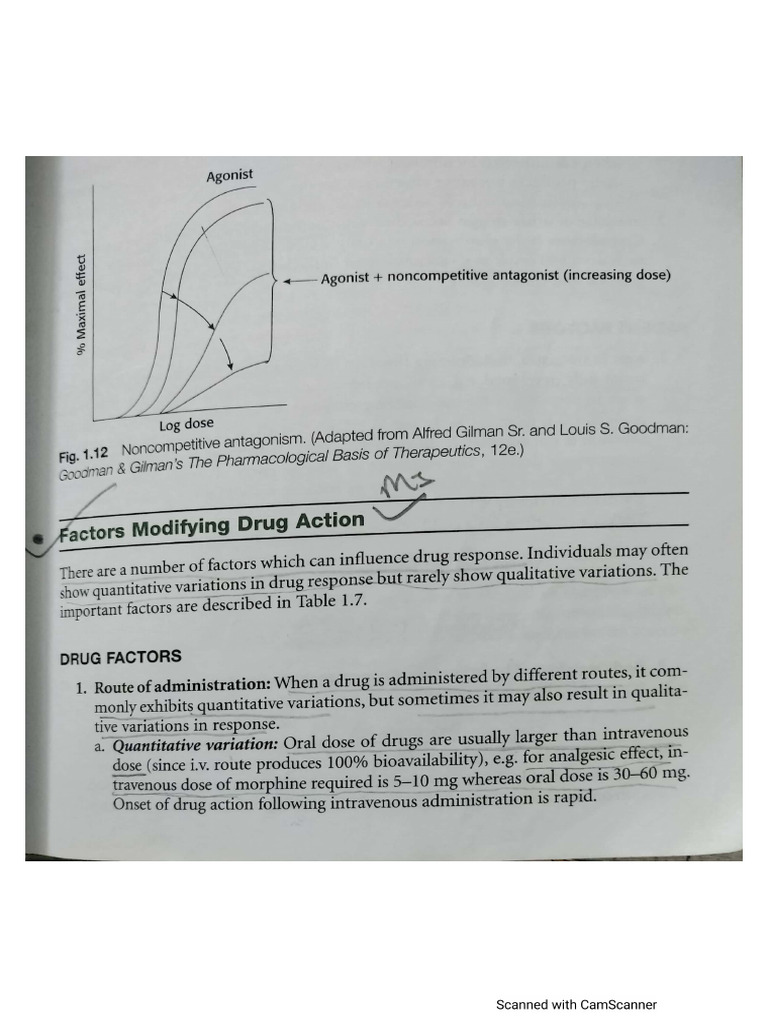 Factors Modifying Drug Actn | PDF