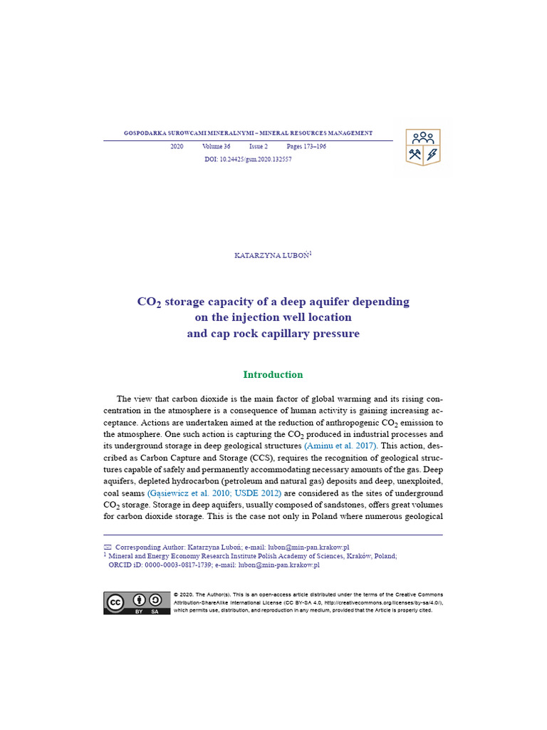 Luboń - 2020 - CO 2 storage capacity of a deep aquifer depending on the ...