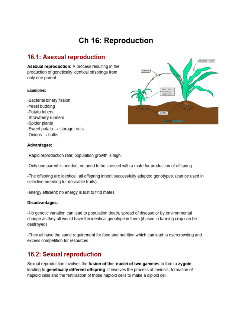 Reproduction | PDF | Sexual Reproduction | Menstrual Cycle