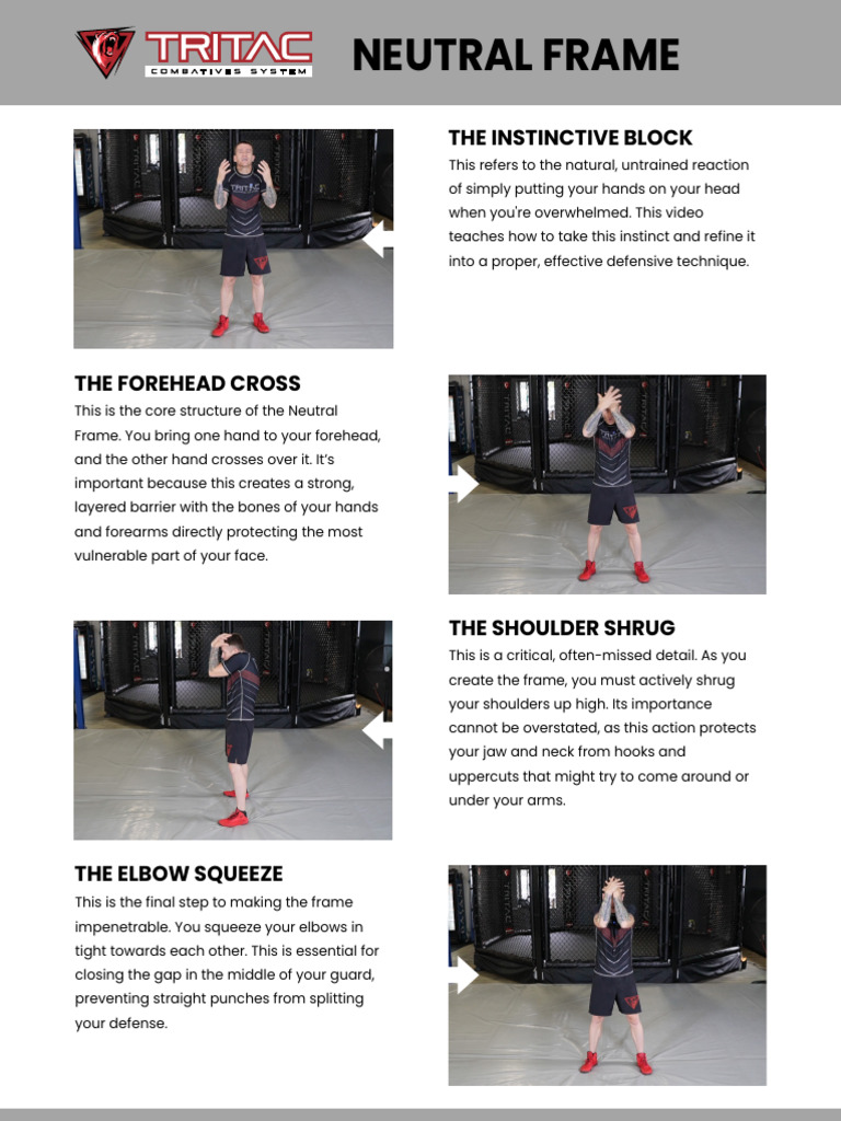 Neutral Frame | PDF