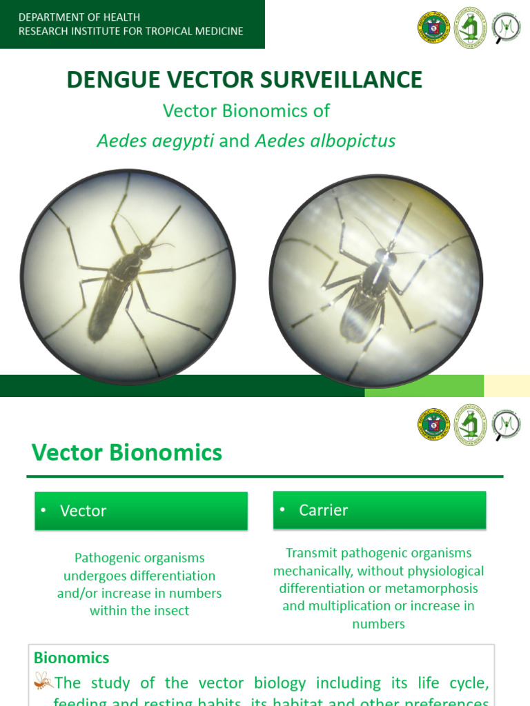 02 Dengue-Vector-bionomics | PDF | Mosquito | Insects And Humans