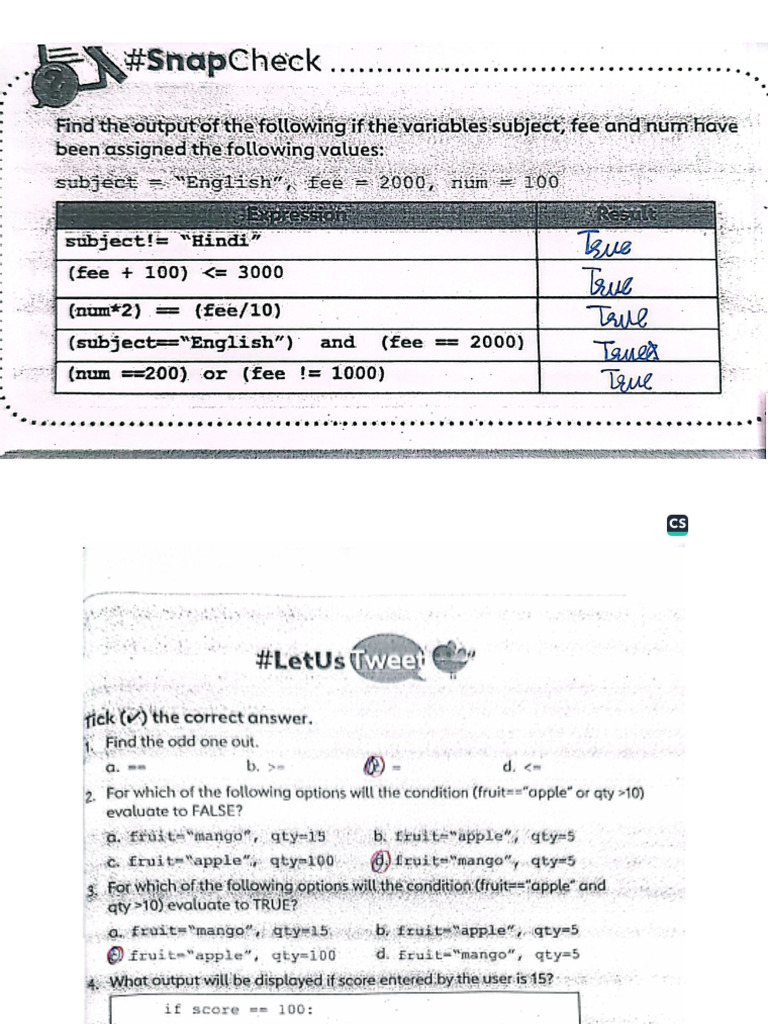 Grade 6 Using Conditional Statements in Python | PDF