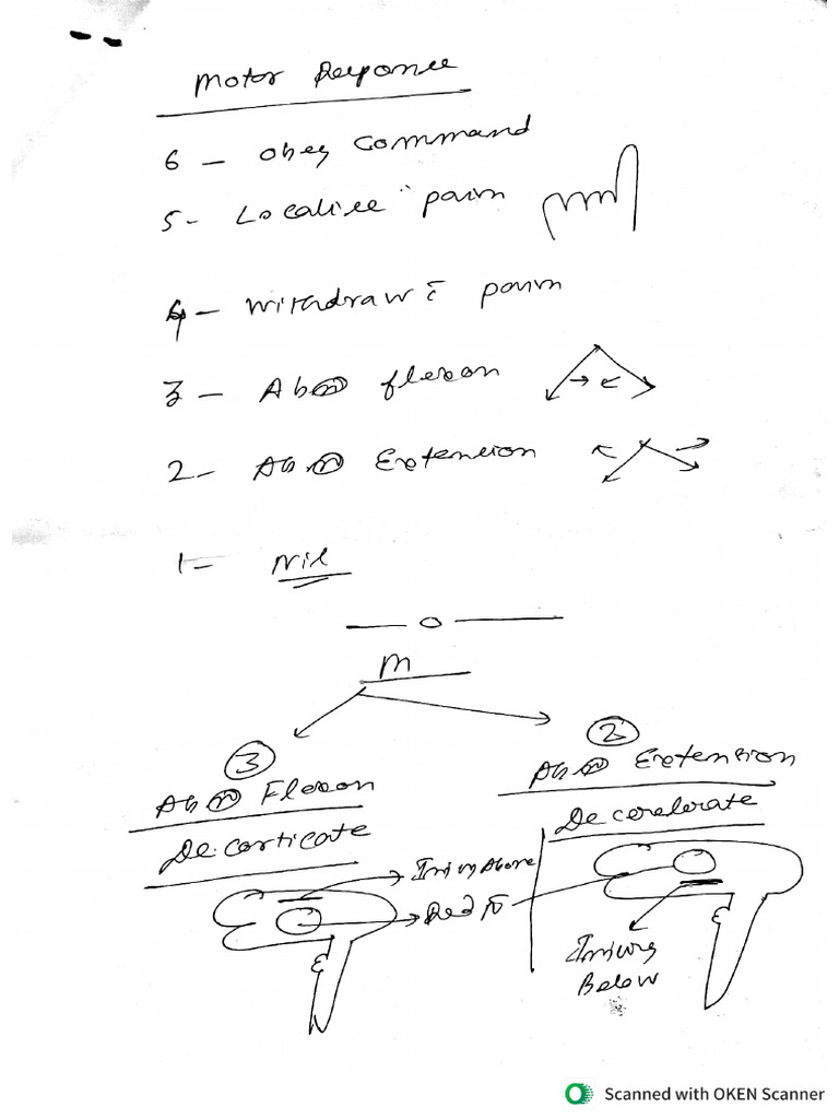 Note | PDF