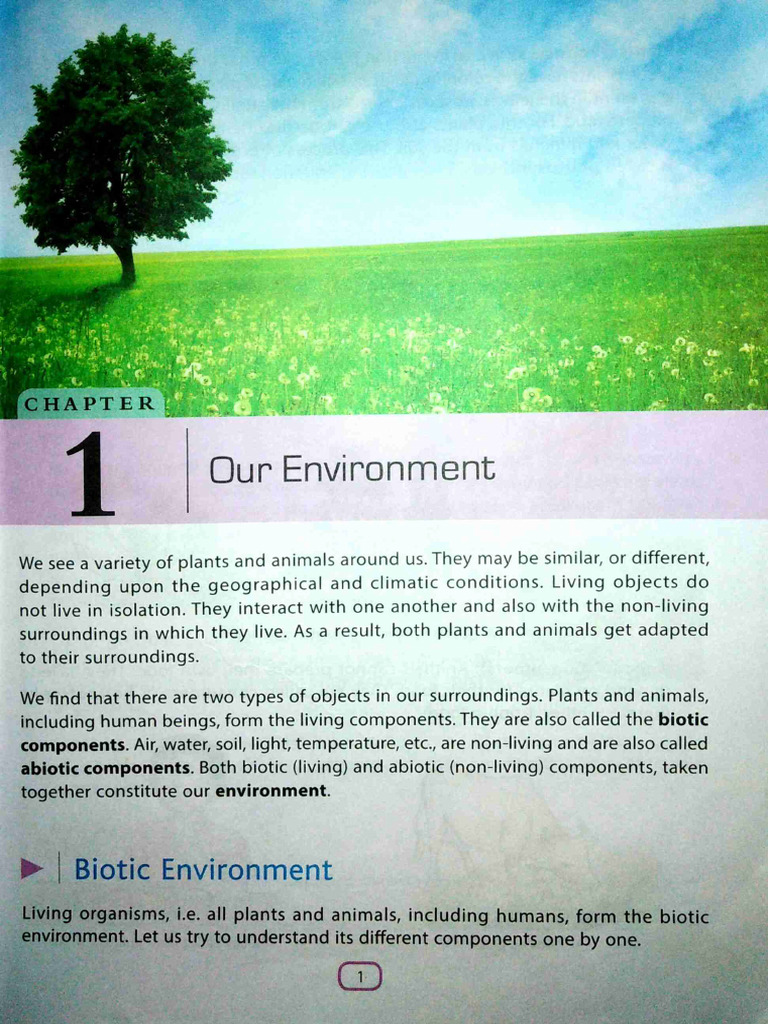 Class 06 Chapter 1-5 | PDF