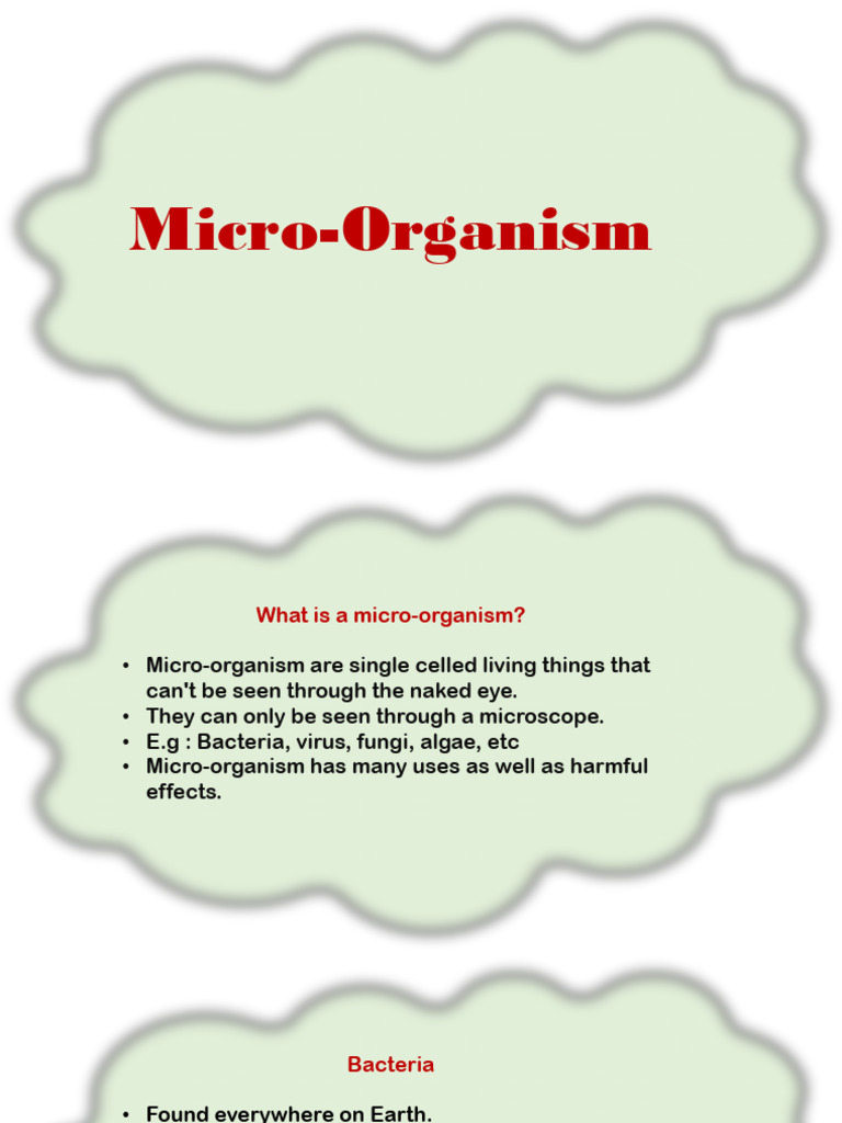 Micro Organism | PDF