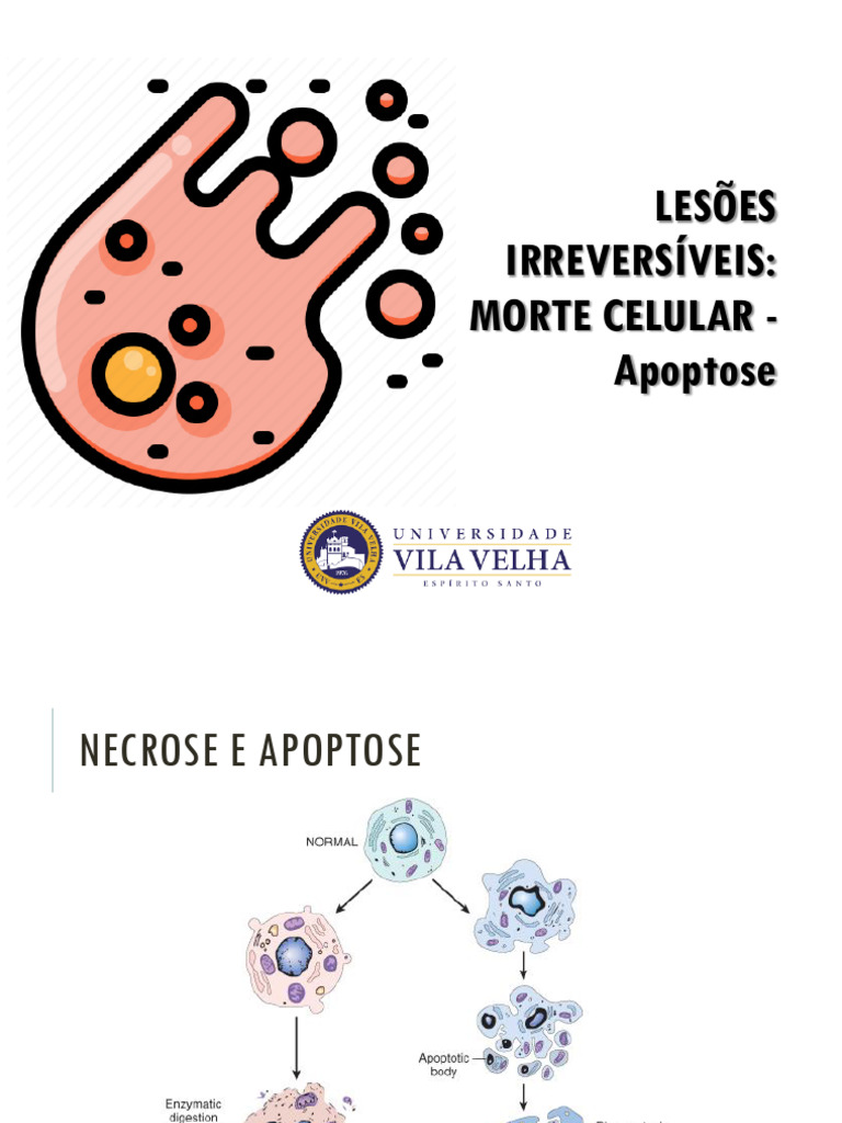 Aula Morte Celular Apoptose | PDF | Apoptose | Biologia