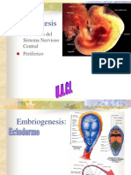 01 Embriologia Del SNC