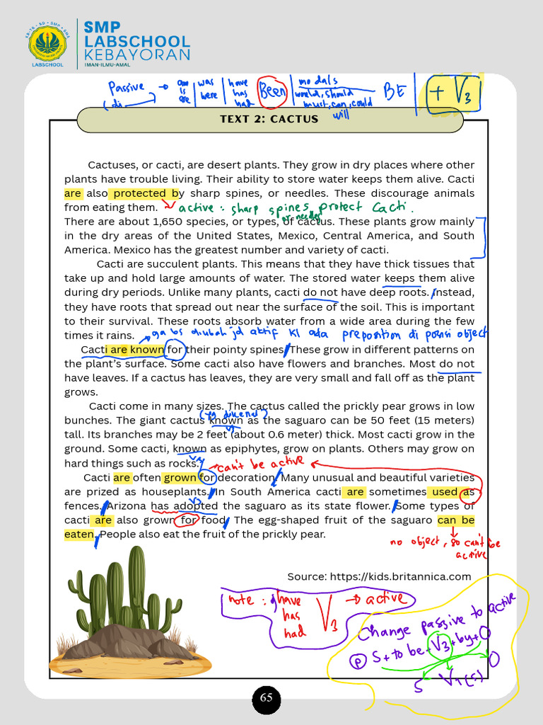 Text 2 - Cactus 2 | PDF