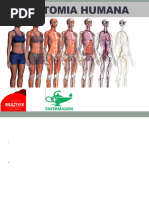 Variações e Anomalias Anatômicas | PDF | Anatomia | Humano
