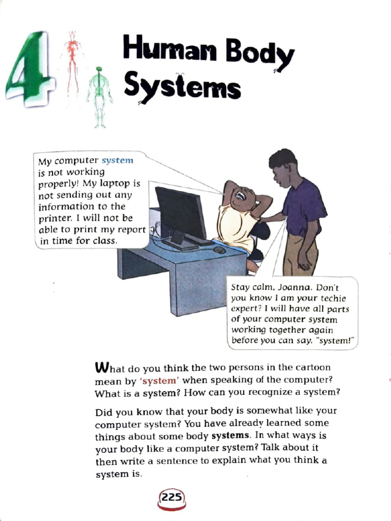 Body Systems Notes | PDF | Brain | Eye