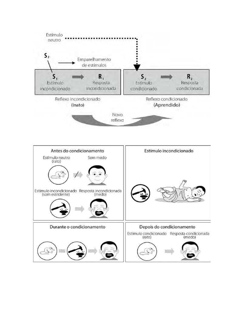 estimulo resposta | PDF