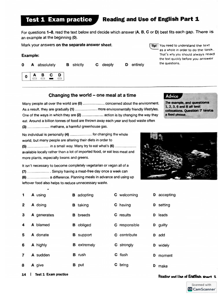 TEST 1 First Trainers | PDF