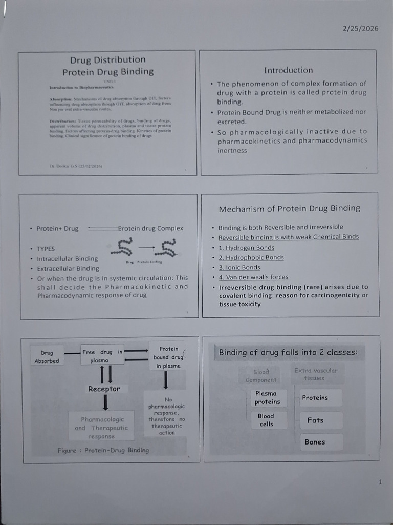 Protein Drug Binding | PDF
