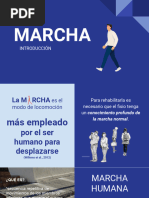 Fases del Ciclo de la Marcha en Fisioterapia | PDF