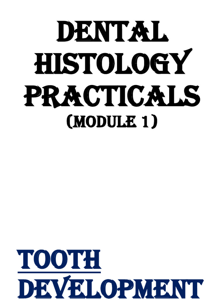 DH Practicals (Module 1) | PDF