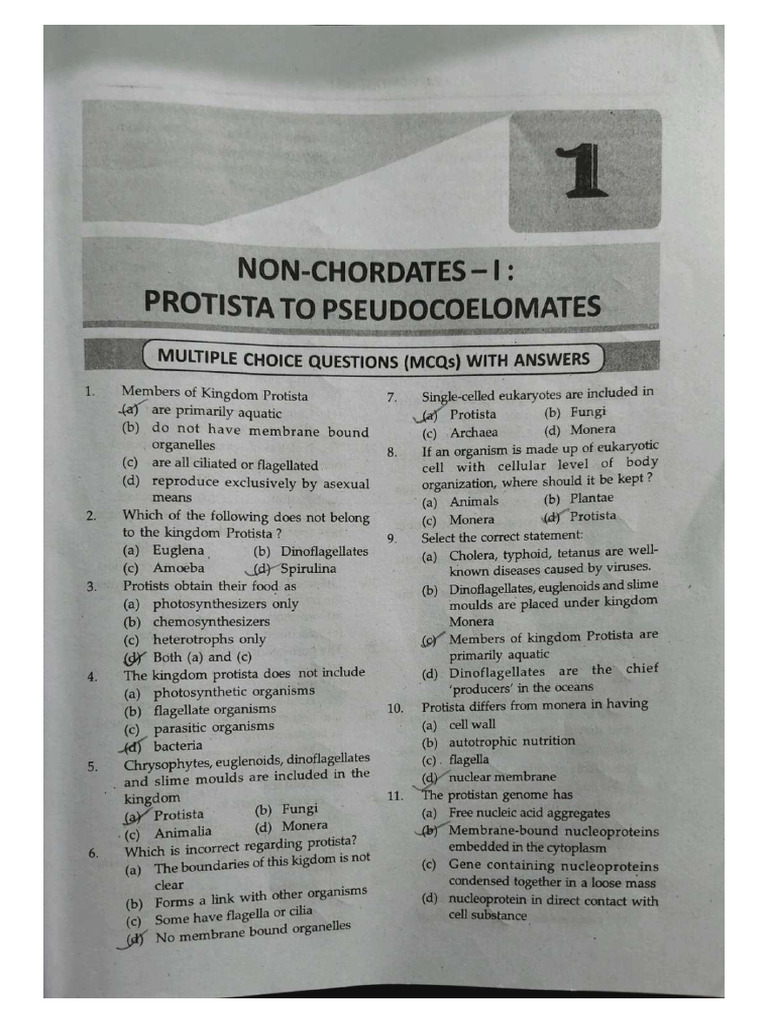 Sem 1 | PDF