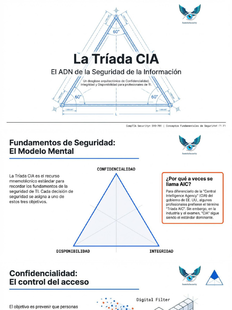 Triada CIA | PDF
