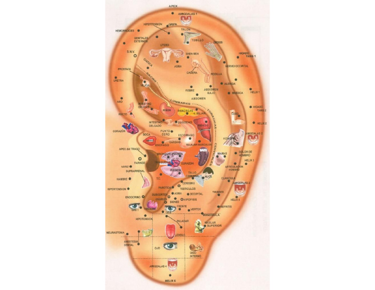 Ear Pinpoint | PDF