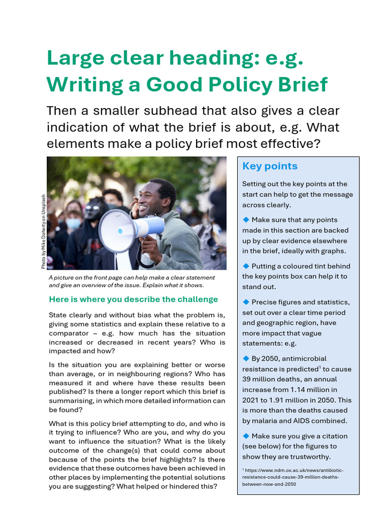 Policy Brief Example FINAL | PDF