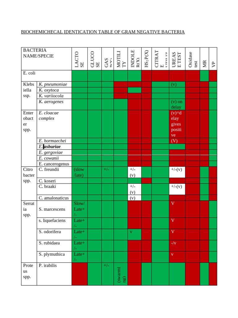 Biochemichecal Identication Table of Gram Negative Bacteria^ of Most ...