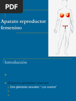 Partes de la Salpinge y Anatomía Asociada | PDF | Ovario | Pelvis