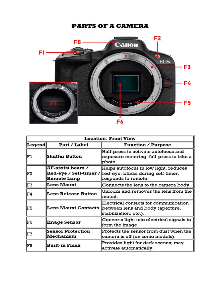 Parts of A Camera | PDF | Camera | Autofocus