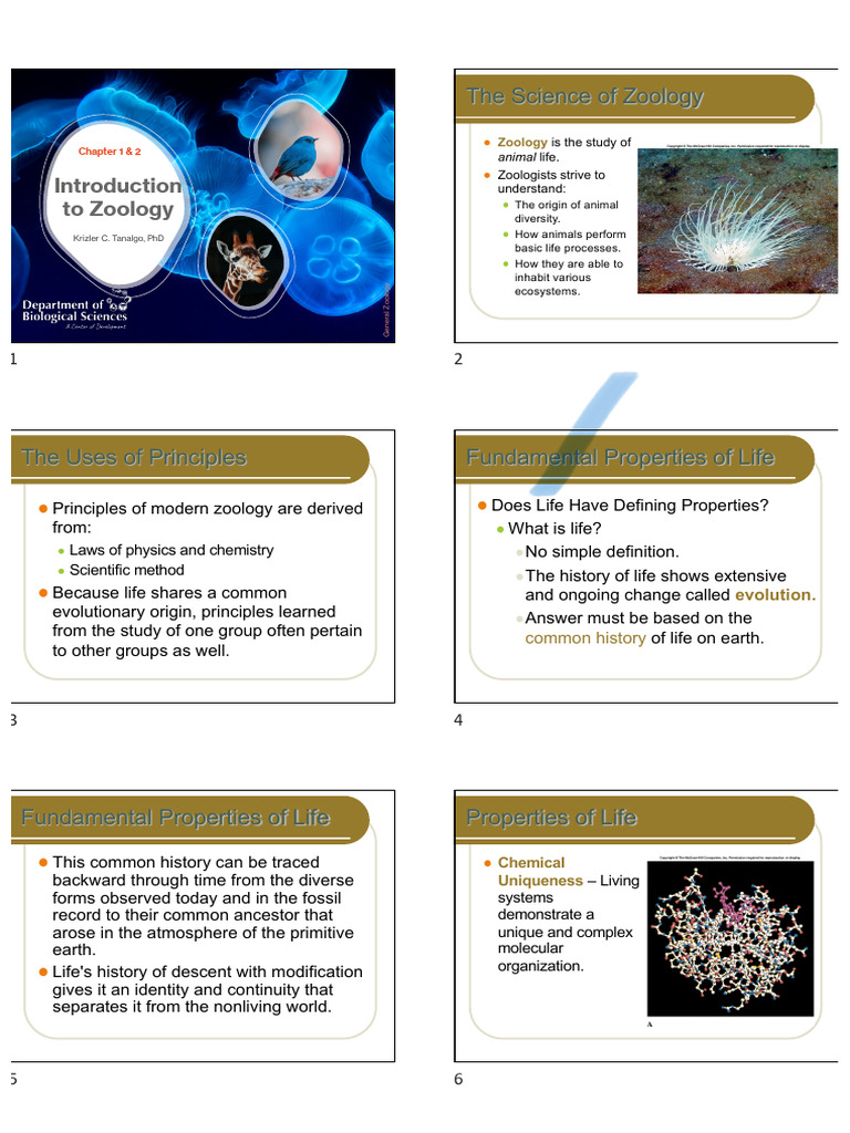 1.2life Biological Principles and The Science of Zoology | PDF ...