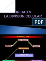 UNIDAD V BIOLOGÍA