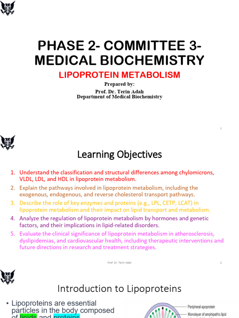Mbchem201 Lipoprotein Metabolism | PDF | Lipoprotein | Cholesterol