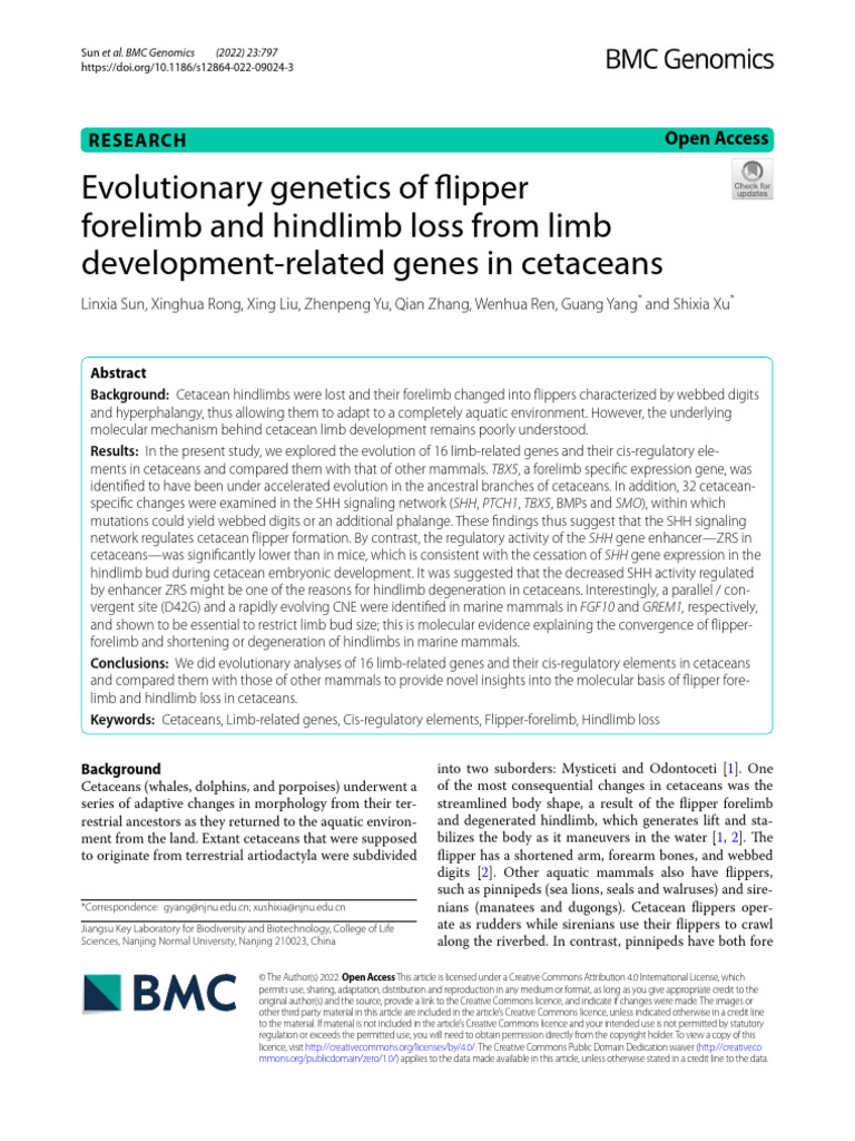 Cetacean flipper development (one human comparison) | PDF | Molecular ...