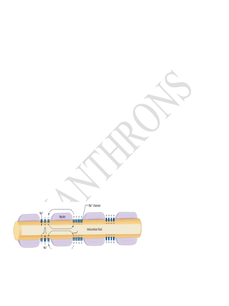 Xanthrons Physio Practical | PDF