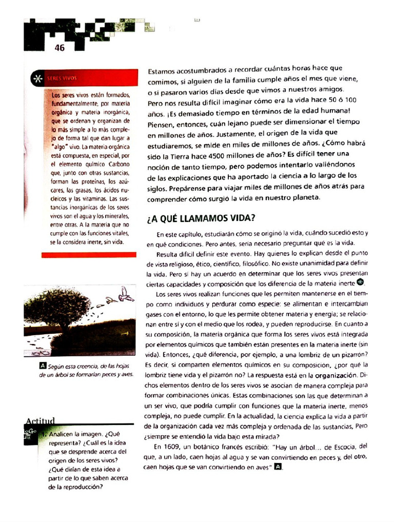 El Origen de La Vida | PDF