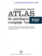 Atlas De Patología Del Complejo Bucal