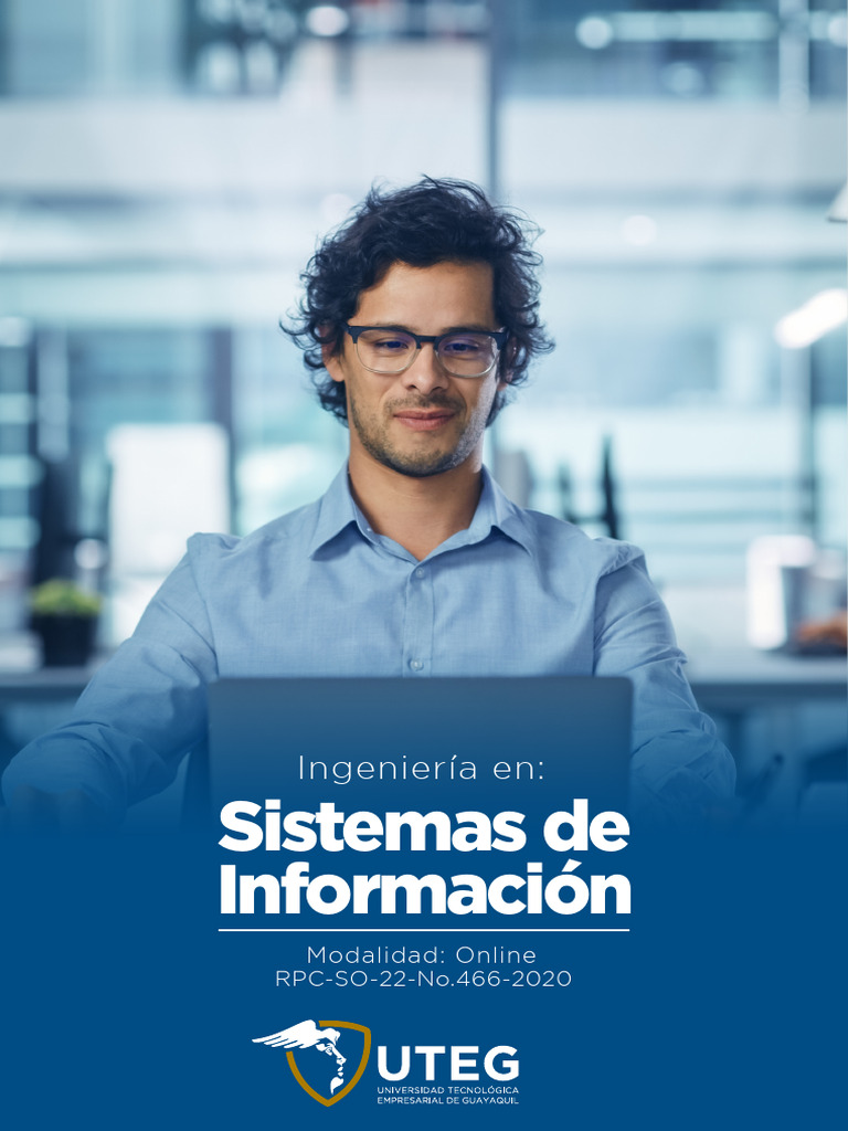 Ingeniería en Sistemas de Información | PDF | Sistema de informacion ...