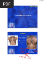Protocolo BLUE em Ultrassom Pulmonar | PDF | Doenças e distúrbios ...