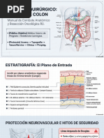 Bell Staging for Necrotizing Enterocolitis | PDF | Digestive Diseases ...